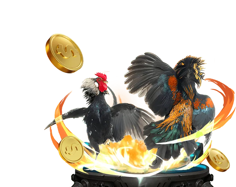 Kỹ thuật viết bình luận đá gà chất lượng cao